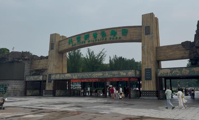 发现北京之美·听中轴新声 | 南中轴的“绿色动脉”，人与自然的“共生剧场”