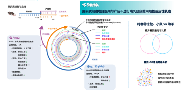 重磅发布！世界顶级期刊发表内蒙古大学重大研究成果