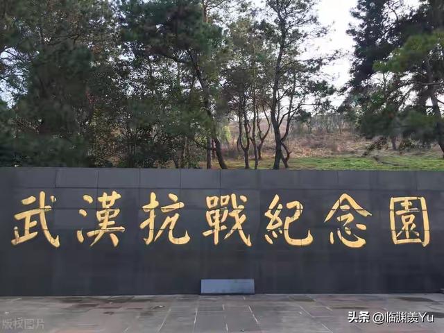 武大校园樱花的历史