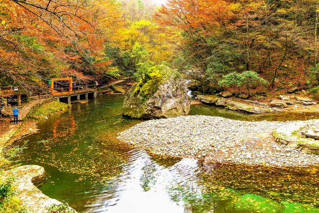 初冬梨平，是秋意没藏好的温柔