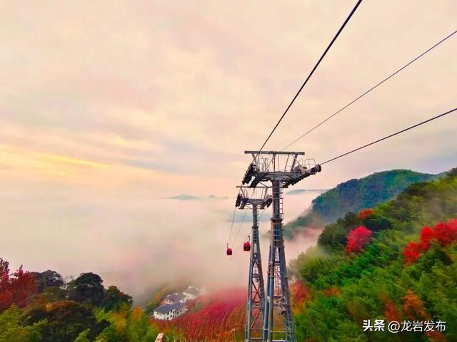 龙岩周末去哪儿 | 秋意浓！带上家人一起登高、远眺~