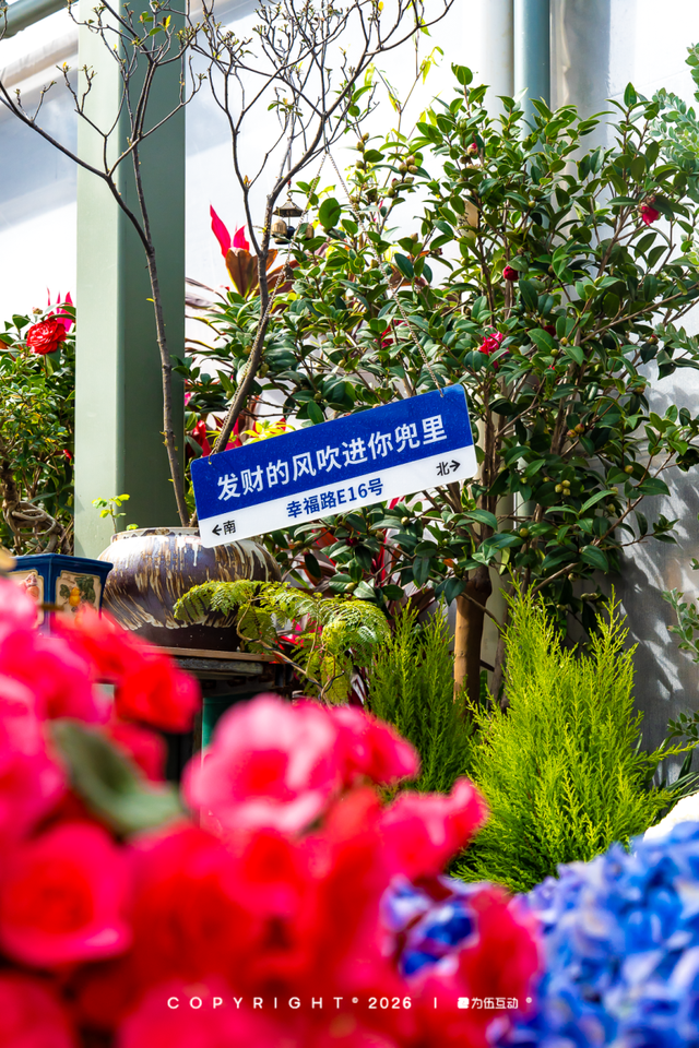 “马”上逛花街！珠海20年老花市焕新登场，新春打卡攻略速收！