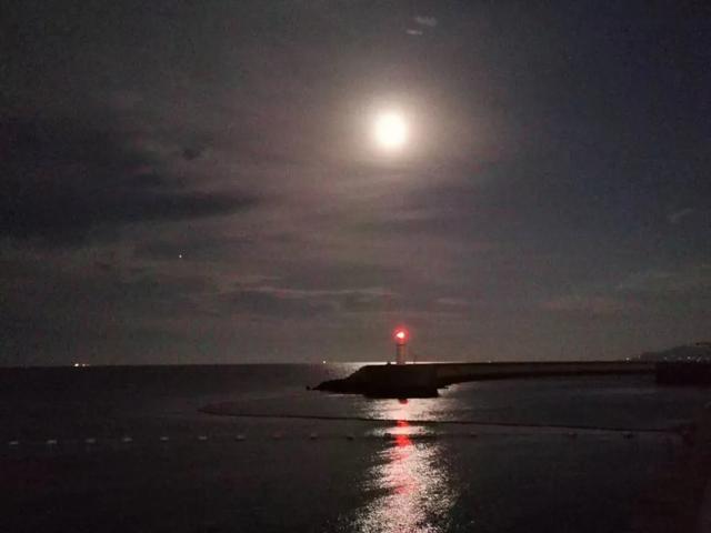 世界上还有很多吴细妹|《命悬一生》编剧陆春吾专访