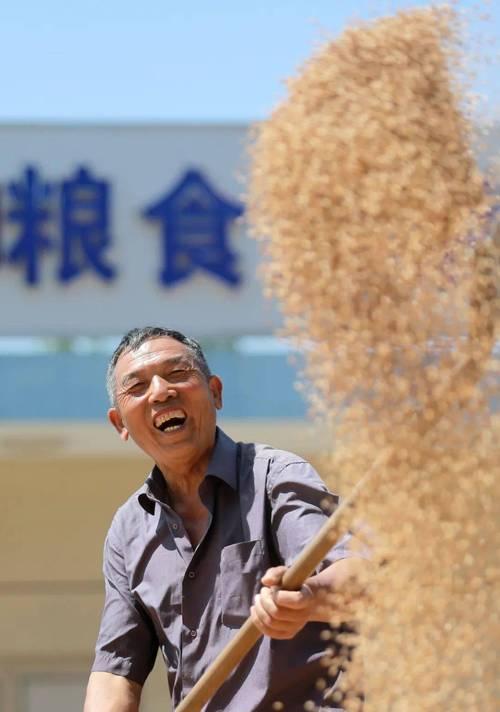 金灿荣：如果战争来临，粮食和能源问题中国已经解决了