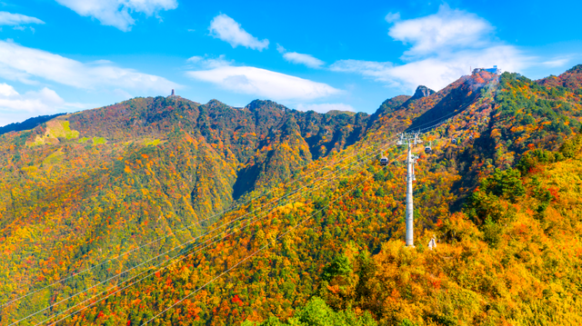 错过等一年！巴山大峡谷秋色刚开场，彩林已美成仙境！