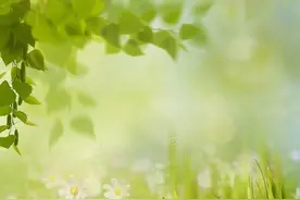 春季养阳正当时，如何晒背安全又有效？图片