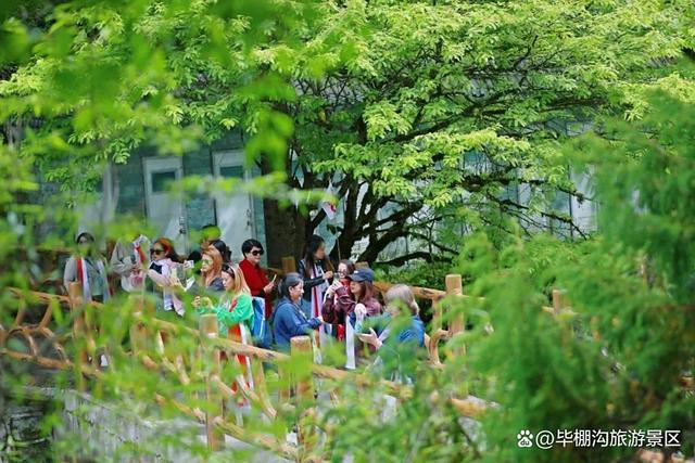 执清凉为笔！泰国百商团走进毕棚沟，共绘山水长卷！