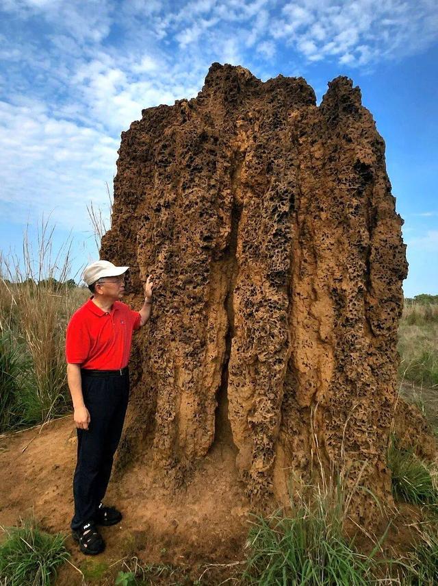 【异域风情】李后强：澳洲的“达尔文金字塔”