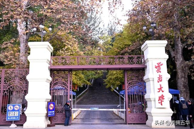 滇超在五华 | 滇超联赛期间在昆明主场怎么玩？这条赏杏观鸥·春城浪漫游线路请收藏！