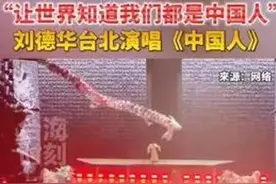 刘德华台北演唱会：高唱“我们都是中国人”，获台湾学者赞誉图片