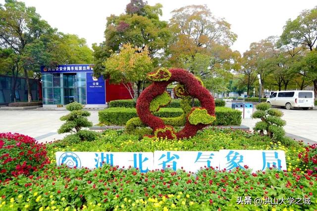 武汉洪山区第38届金秋菊展华美启幕