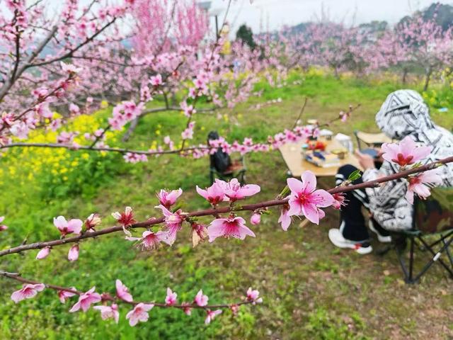 走出去,能带来好运吗?