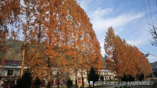 汉中洋西路自驾邂逅冬日限定美景！