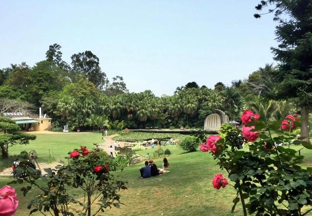 厦门植物园专类园区蔷薇园，始建于1995年，蔷薇科植物的浪漫王国