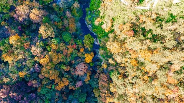秋游黄陂 | 解锁清凉寨的N种玩法！