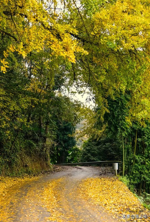 悦·遵义丨是心动呀！遵义，你这么好看！