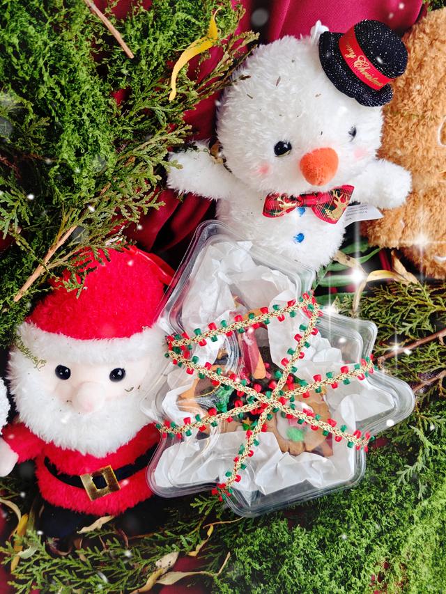 青岛宝藏露营地~私藏的野奢营地乌托邦！