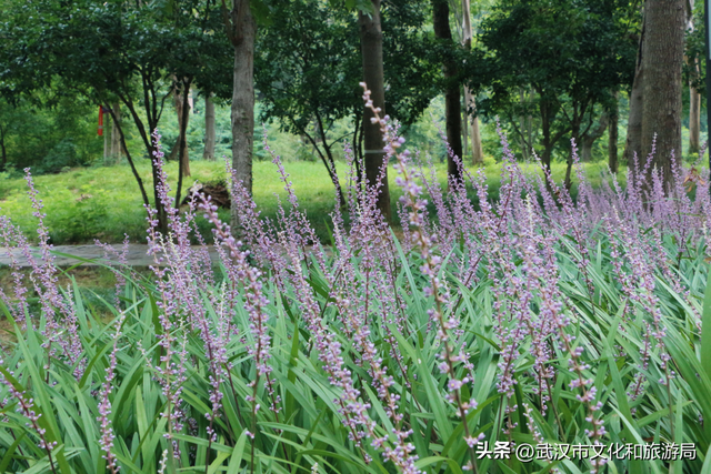 热热热！夏日避暑纳凉路线来啦
