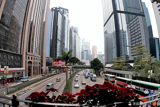 东方明珠香港散记