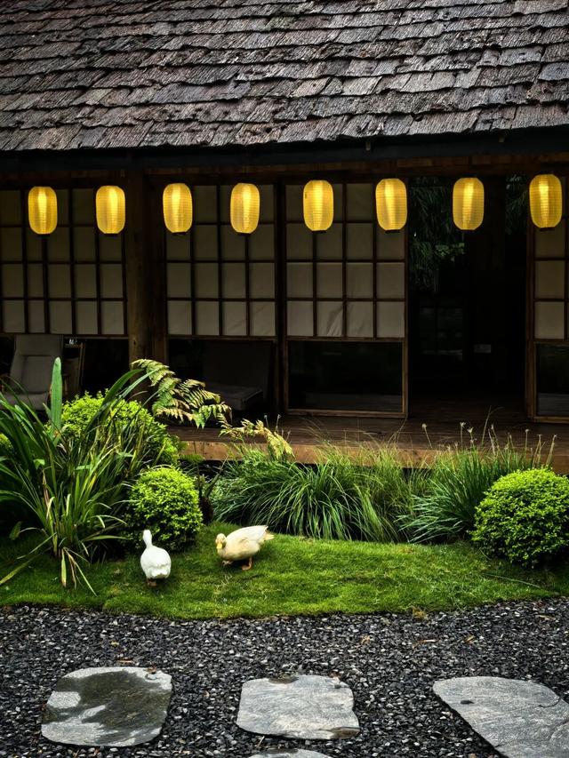 眉山天府新区又有好耍地儿了！速来打卡~