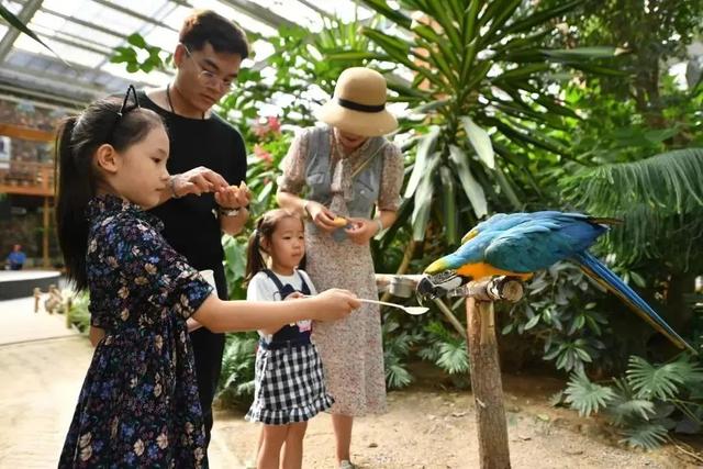这个暑假，丰台“游”点“不一样”（自然游乐篇）