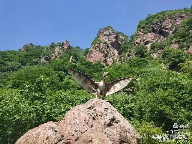 探秘北京房山百瑞谷，邂逅自然的奇幻之美｜申艳娟