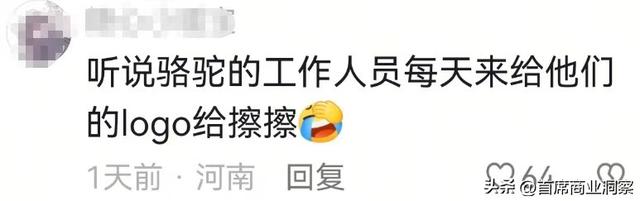 狂揽50亿流量！从低调景区到全网打卡地	，这个流量密码藏不住了