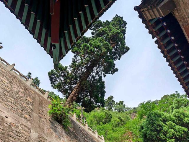 交城玄中寺——日本净土宗祖庭