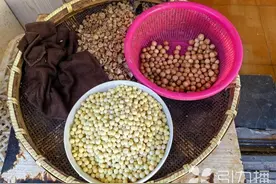 苏州葑门横街鸡头米抢鲜上市！价格每斤115元至120元图片