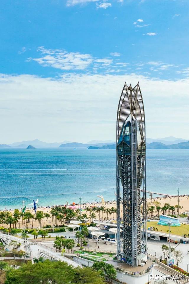 不好意思，今年春节盐田又火了！