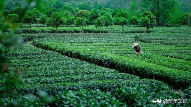 一步一景皆诗意！央视《山水间的家》走进邛崃夹关