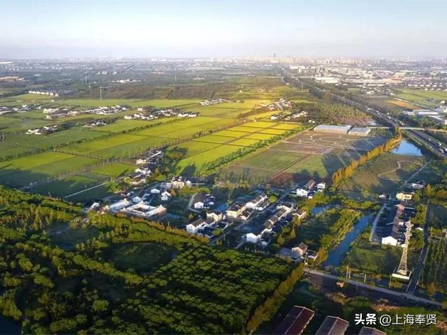 一键查收！“志愿星光 闪耀乡村”，上海市奉贤区12·5国际志愿者日主题活动邀请函