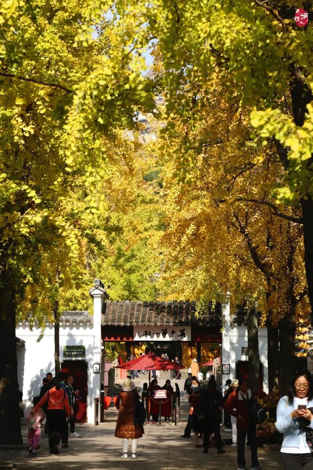 抓住秋天的尾巴！出发苏州这5个赏秋圣