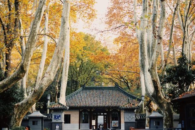 即将秋色封神的城市，总得来这里走走吧！