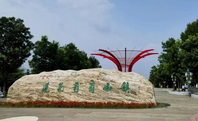 清华大学教授王革华（水木客悠）的文化之旅——暑假一日耍