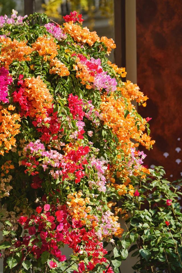 漫游韶关，赴一场山水间的秋日之约