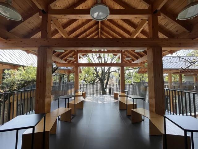 收好始兴这条线路，一天玩转艺术、古村与落羽杉，追一场岭南最绚烂的秋！