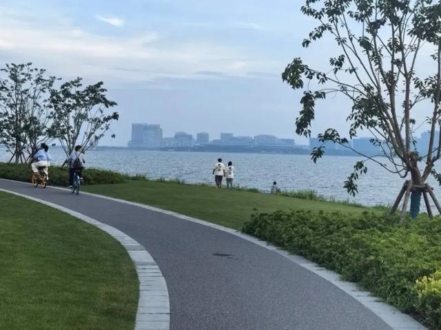 魔都私藏的15片湖泊，99%人错过的水色秘境！周末安排~