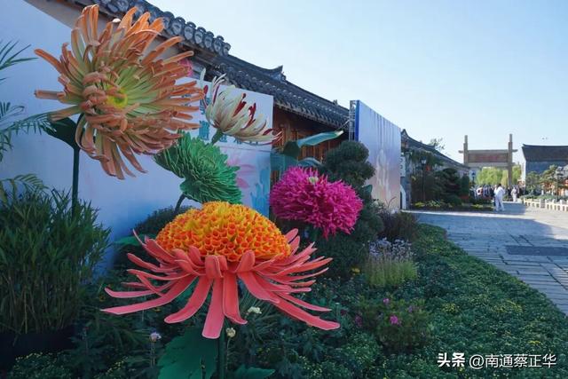 来了来了！南通秋天的仪式感