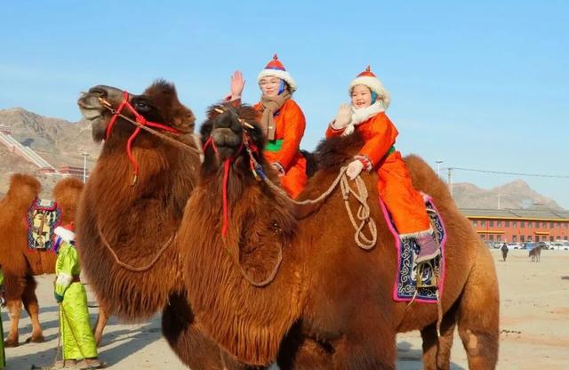 转发接好运！来乌拉特后旗跨年！