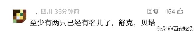 为4只“太空小鼠”取名，网友：从从、容容、游刃、有余……