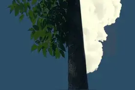 当我把老公拉黑后，我后悔了图片