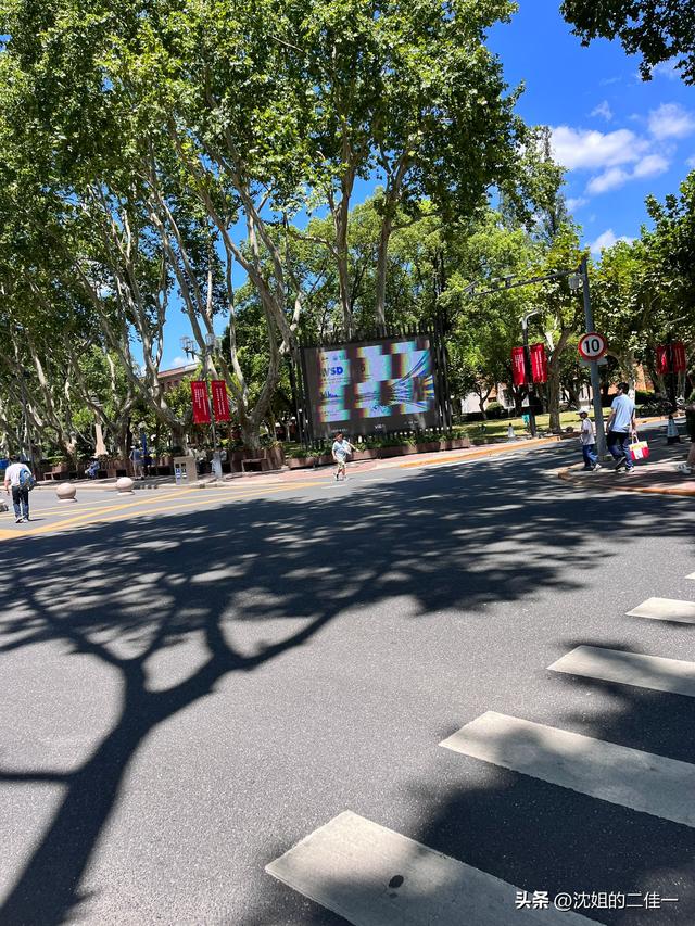记录2025年上海东方明珠与四平路同济大学感受