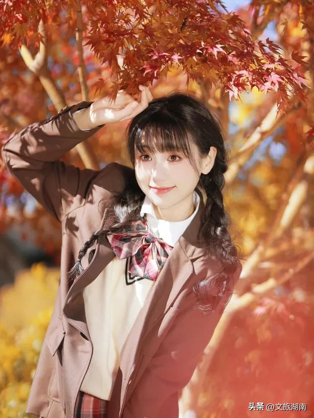 红了!湖南“追枫”地图更新