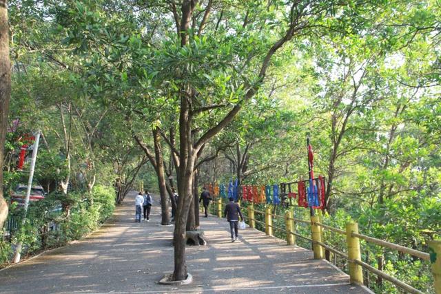 别等了！东莞观音山限定五彩皮肤已上线，速来解锁一年好运