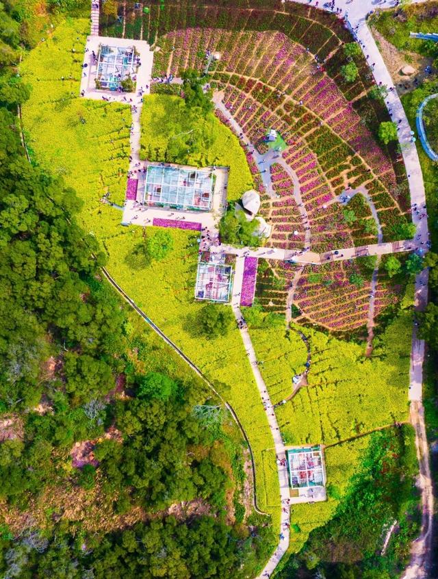厦门山海健康步道花海线，起于狐尾山，终于东坪山，全长约15公里