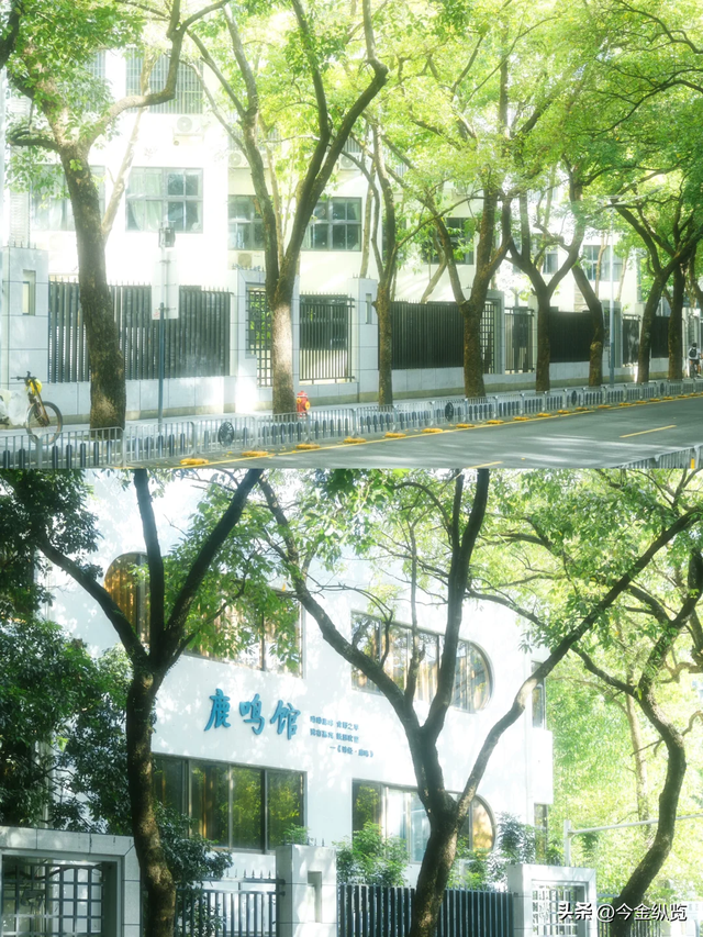 深圳这路承载几代人悲欢！2.3公里藏半生，老蛇口人为何念念不忘