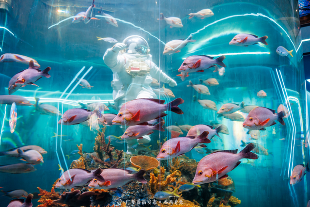 刷爆番禺人朋友圈的新地标，18000㎡的空间究竟藏着什么？