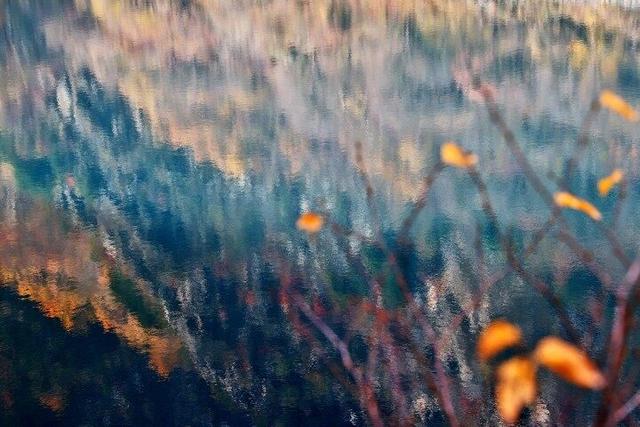 四川这个地方的初冬，是彩色的！