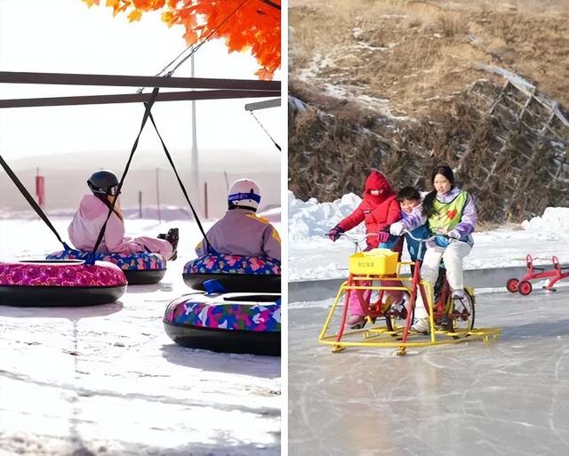 “顶流”回归！今冬在呼和浩特怎么玩？官方攻略出炉！